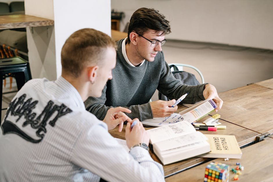 馬來西亞 國際學校 入學年齡：Two young men studying together, focusing on English grammar